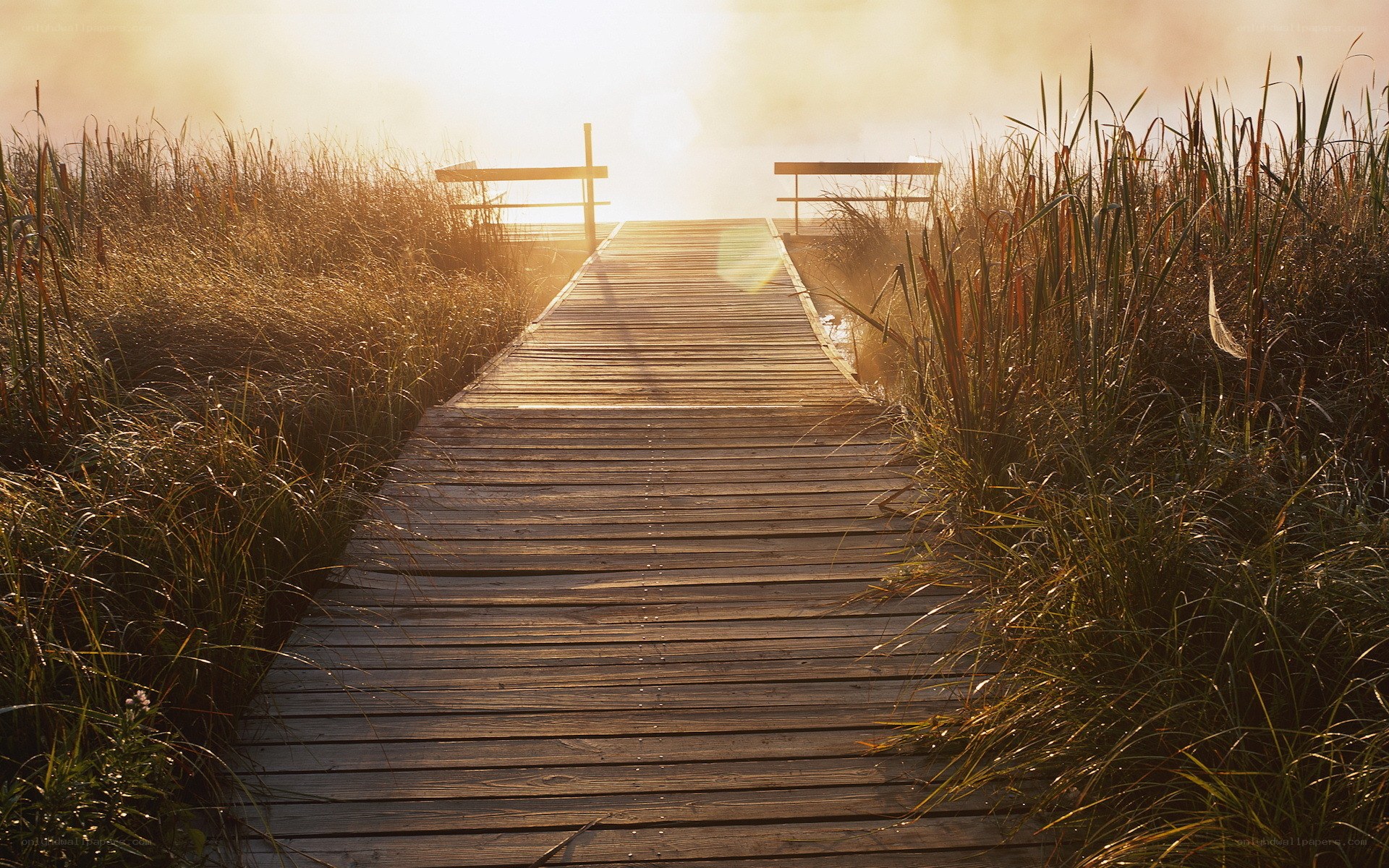 Wooden dock at sunrise
