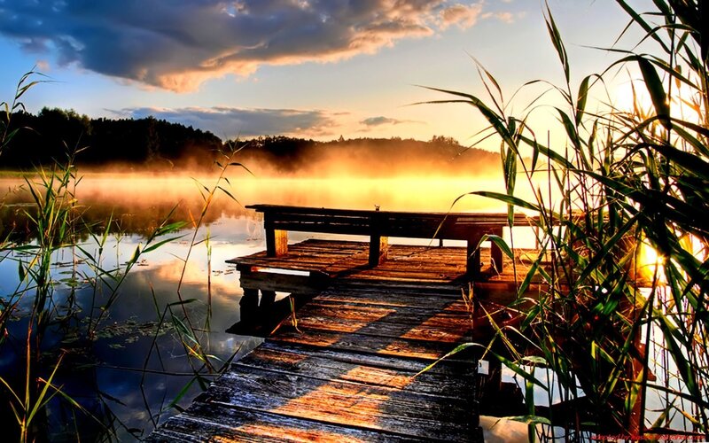Wooden Dock at Sunrise — Orange, Serene, Photograph, Reeds