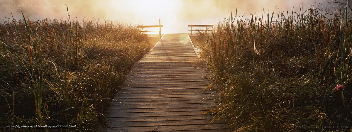 Wooden dock at sunrise