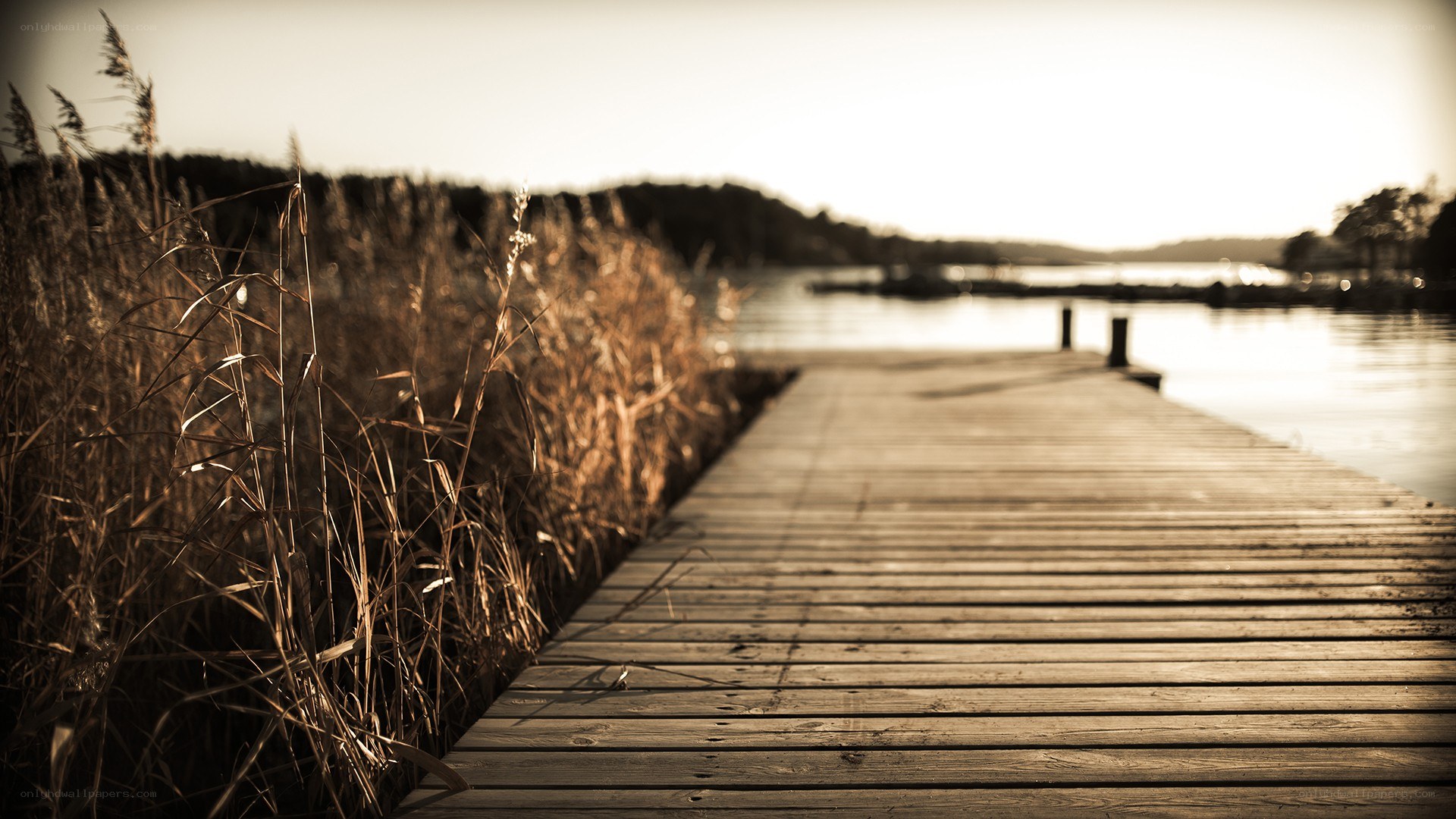 Wooden dock at sunset