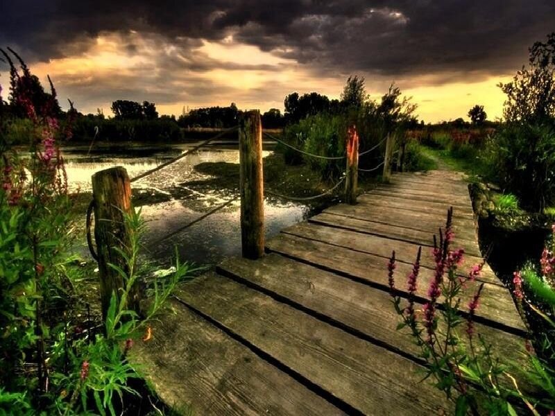 Wooden dock at sunset