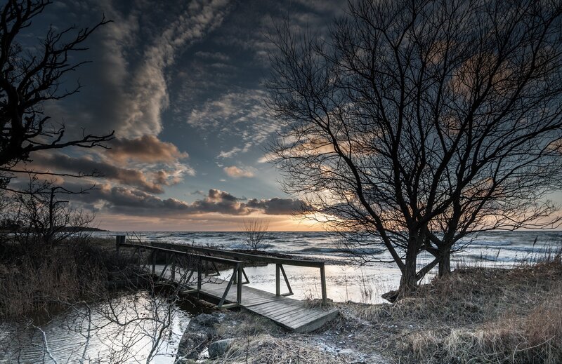 Wooden Dock at Sunset — Blue, Dramatic, Photograph, Trees