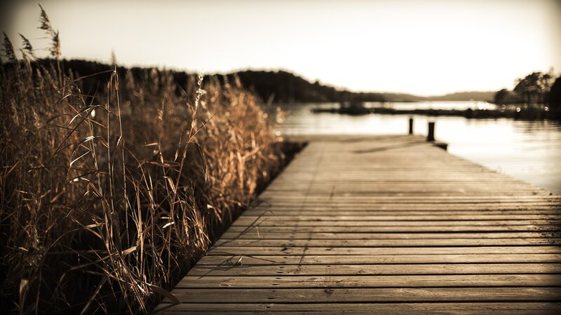 Wooden Dock at Sunset — Brown, Serene, Photograph, Reeds, Water