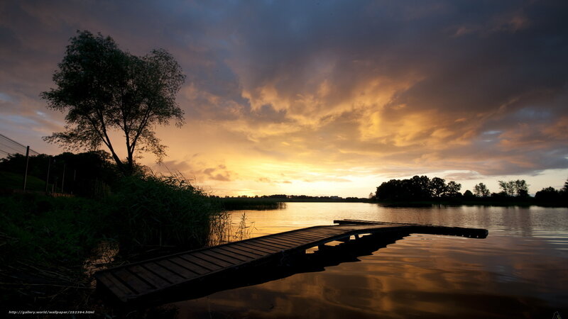 Wooden Dock at Sunset — Orange, Serene, Photograph, Tree, Lake