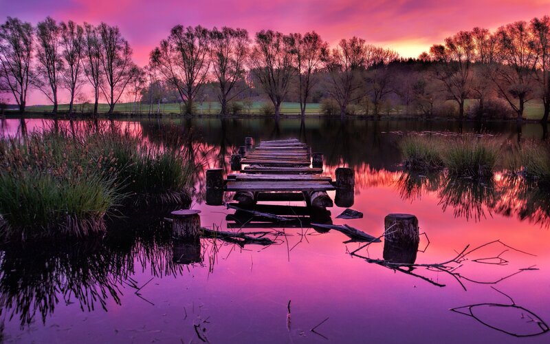 Wooden Dock at Sunset — Pink, Serene