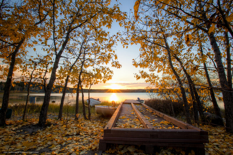 Wooden Dock at Sunset — Yellow, Serene, Autumn