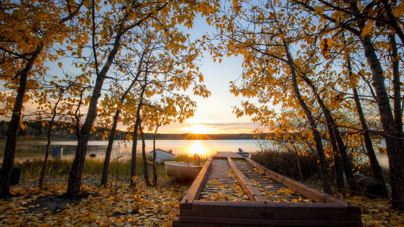 Wooden Dock at Sunset — Yellow, Serene, Photograph, Trees, Lake
