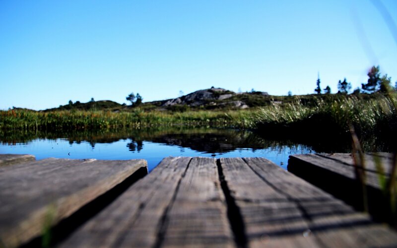 Wooden dock by a calm lake
