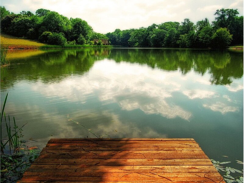 Wooden dock by a calm lake