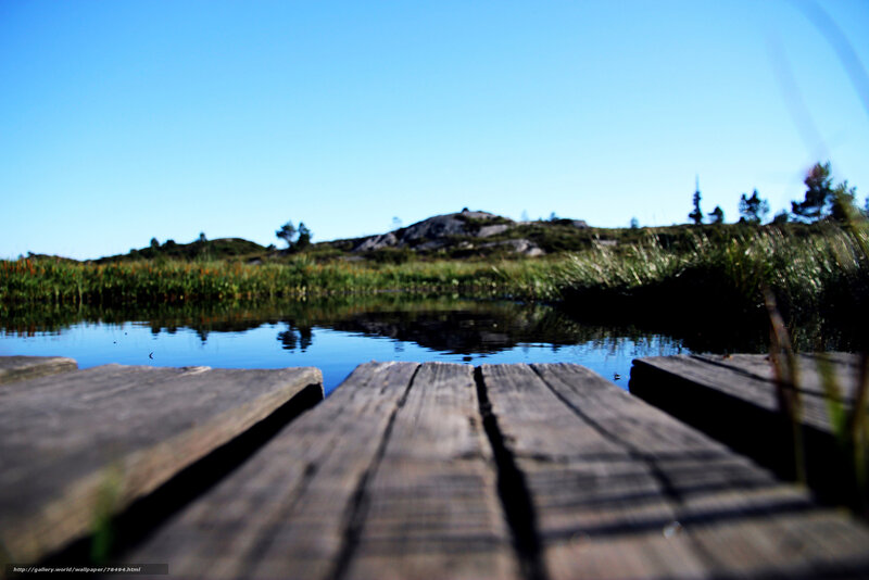 Wooden dock by a calm lake