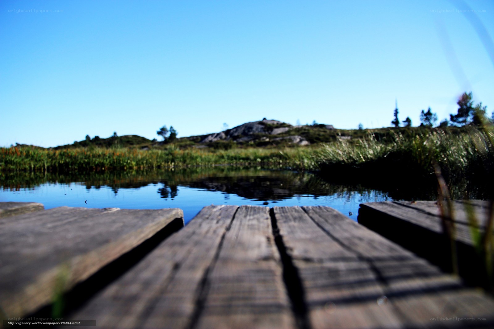 Wooden dock by a calm lake