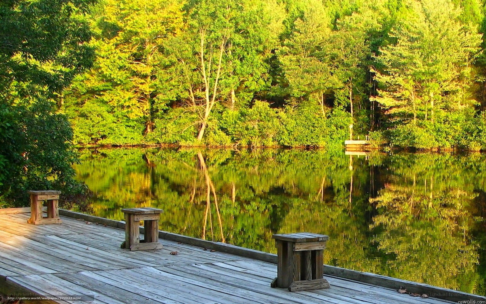 Wooden dock by a forest lake