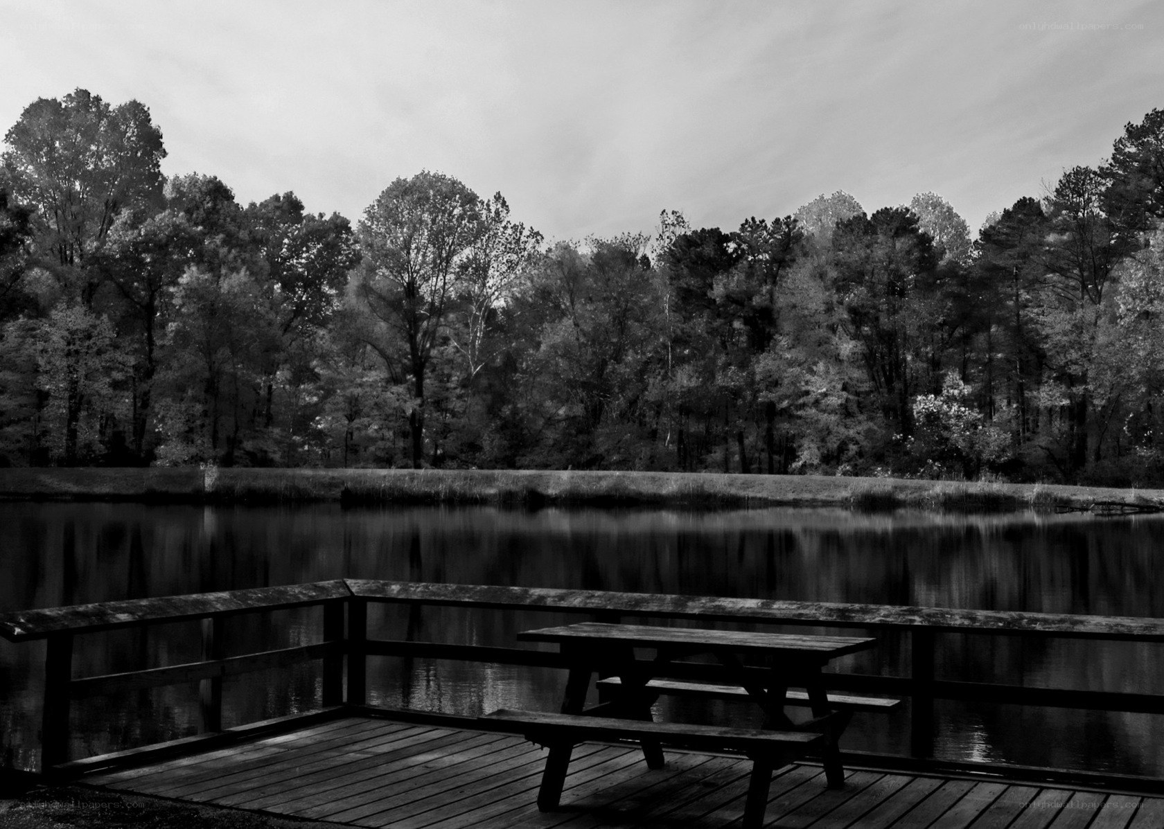 Wooden dock by a lake