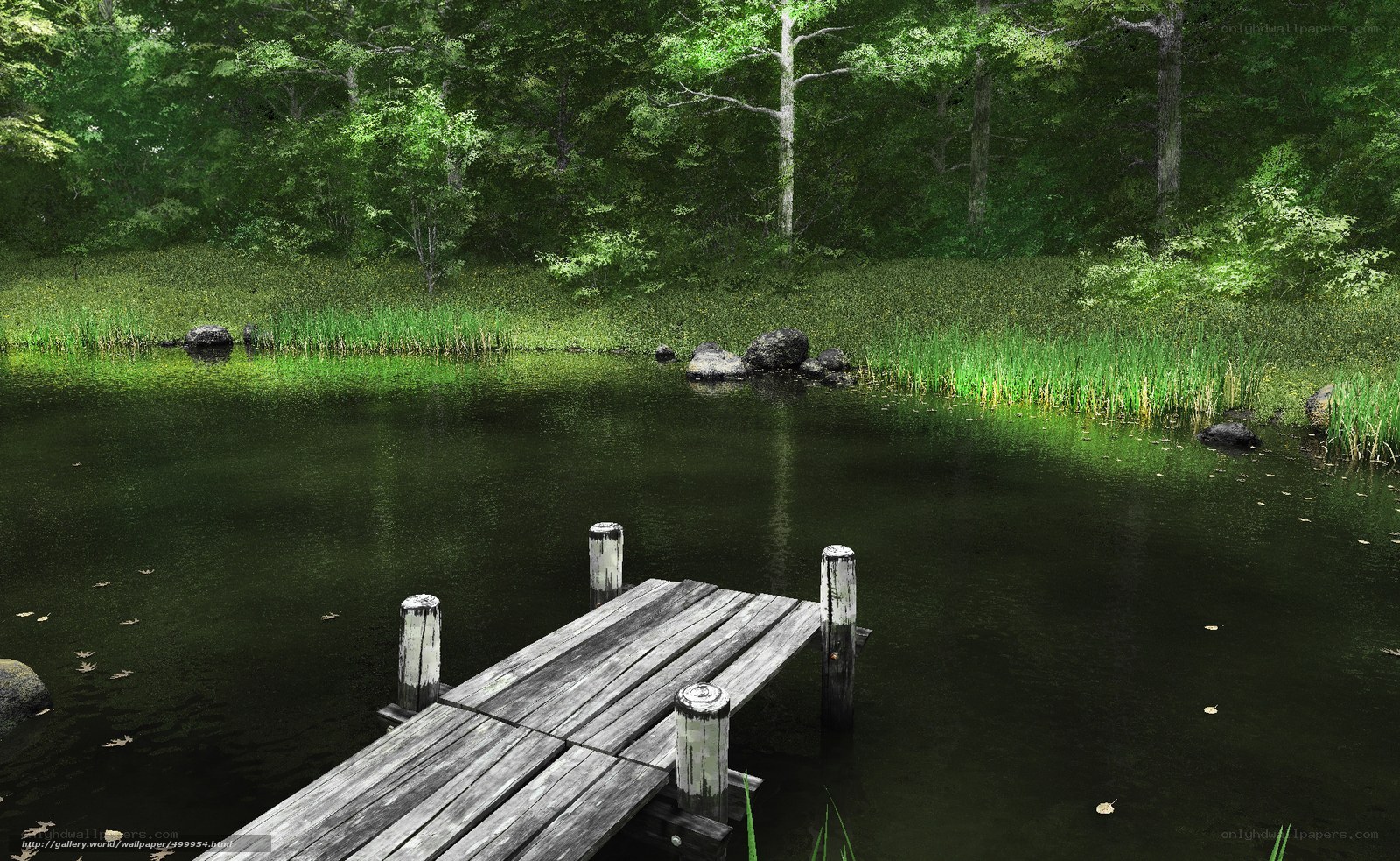 Wooden dock by forest pond