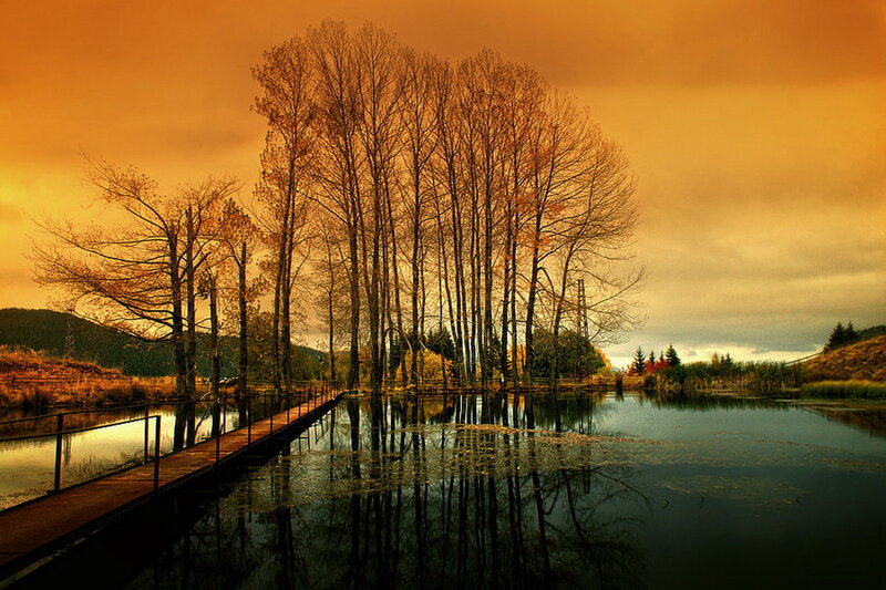 Wooden Dock by Lake — Orange