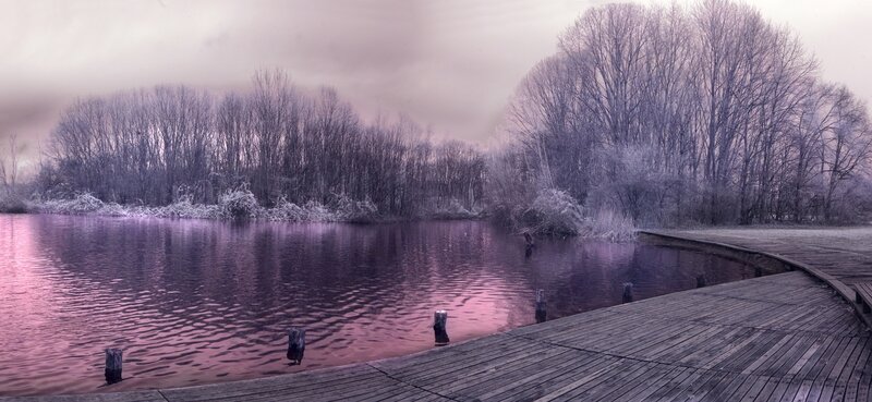 Wooden Dock by Lake — Purple