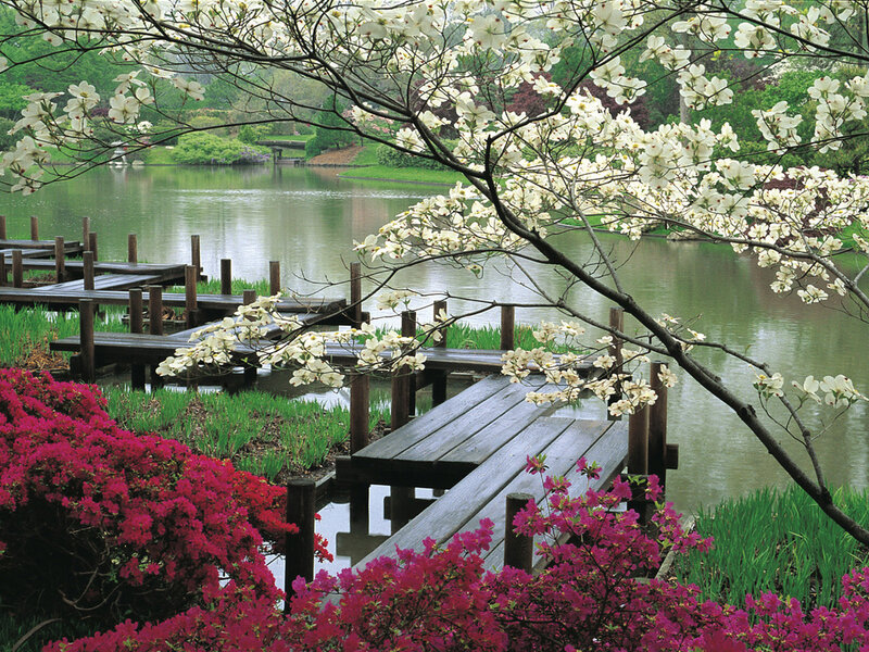 Wooden Dock by Lake