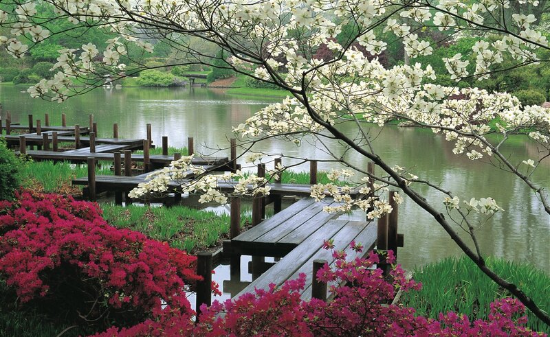 Wooden Dock by Lake — White, Serene