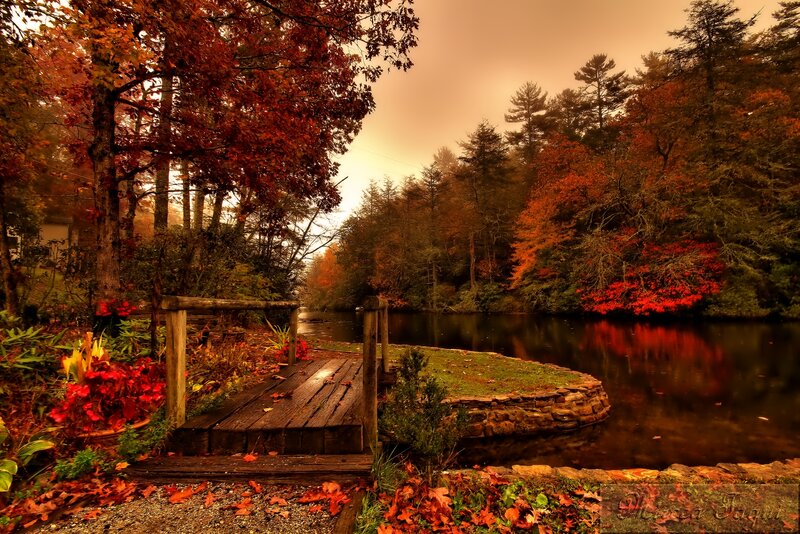Wooden Dock by Pond — Red