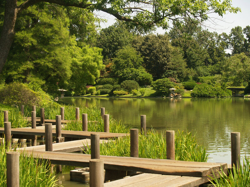Wooden Dock by Pond