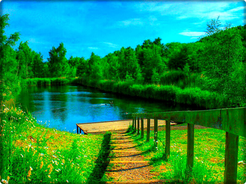Wooden Dock by River