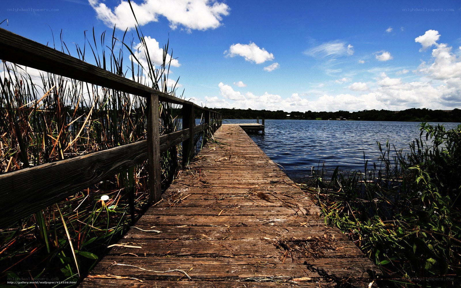 Wooden dock by the lake
