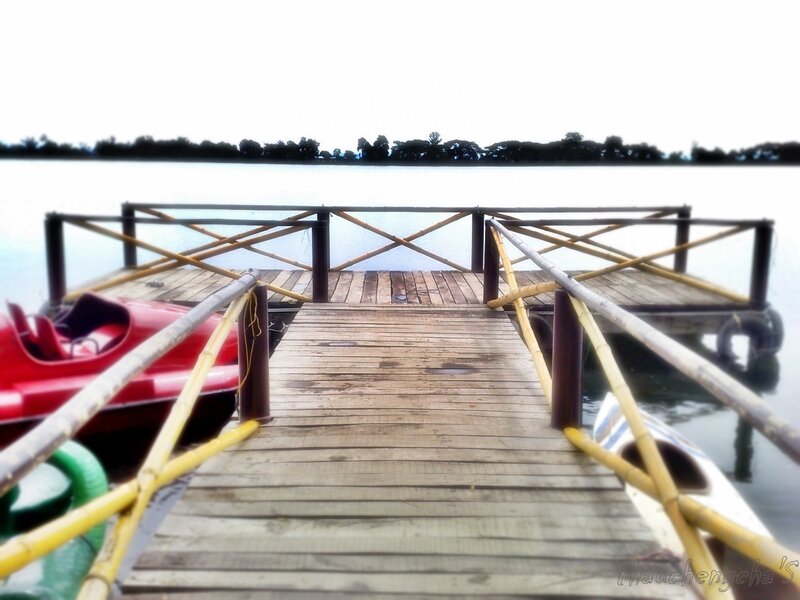 Wooden dock by the lake