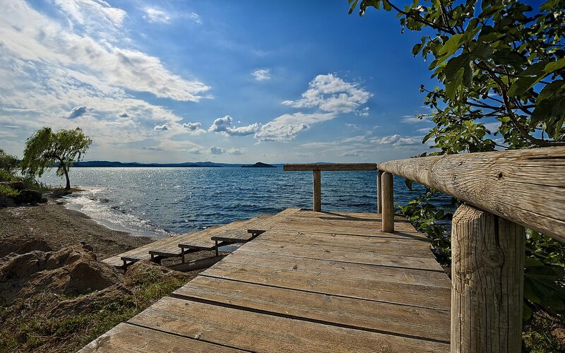 Wooden dock by the lake