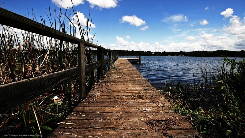 Wooden dock by the lake