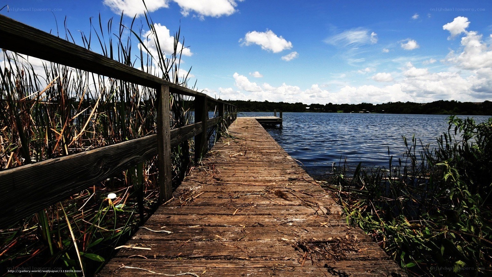 Wooden dock by the lake