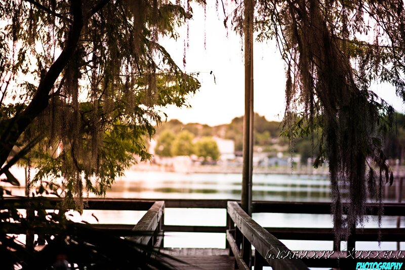 Wooden Dock by Water — Green
