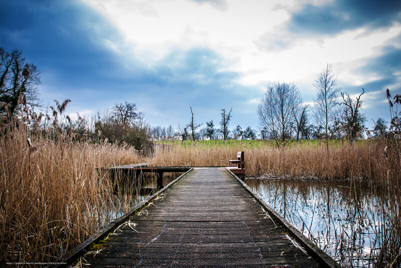 Wooden Dock in Marsh