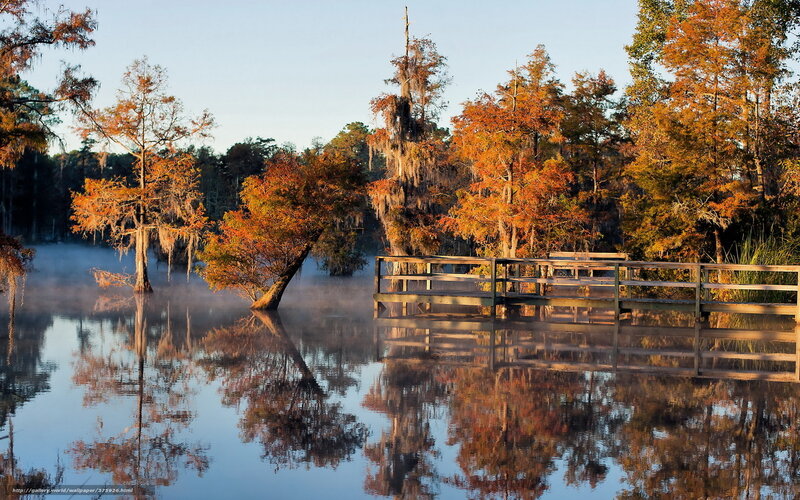 Wooden Dock in Swamp — Blue