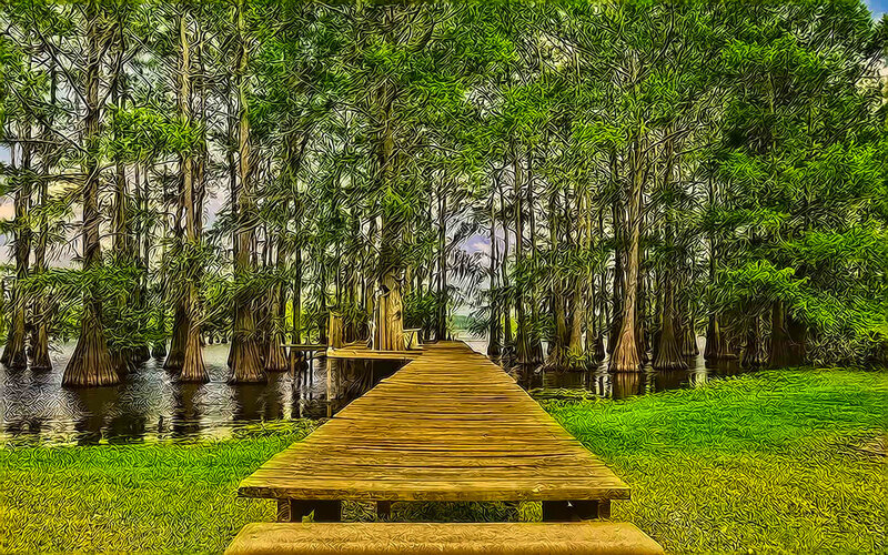 Wooden Dock in Swamp