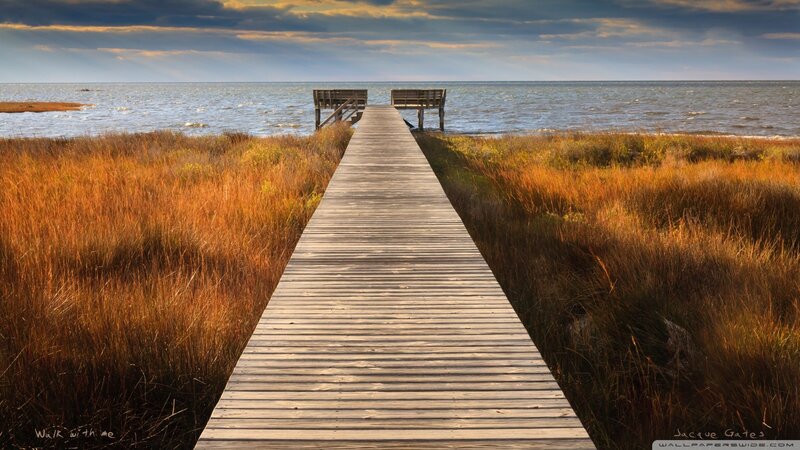 Wooden dock leading to the sea