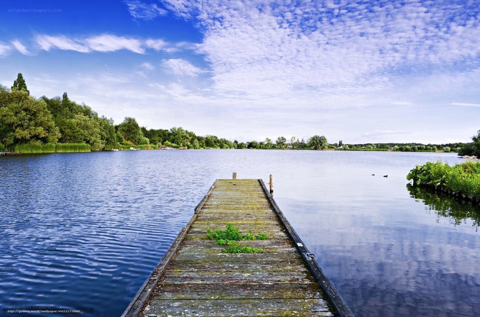 Wooden dock on a calm lake