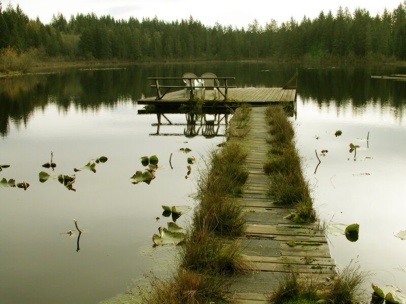 Wooden dock on a calm lake
