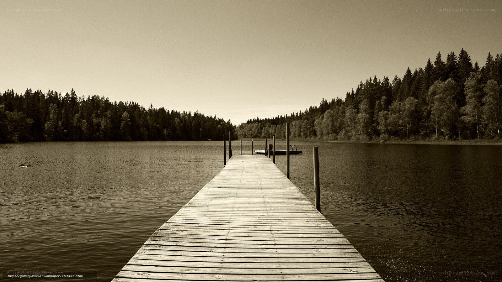Wooden dock on a calm lake