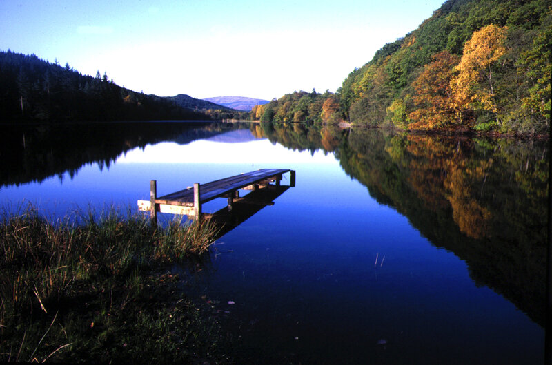 Wooden dock on a calm lake