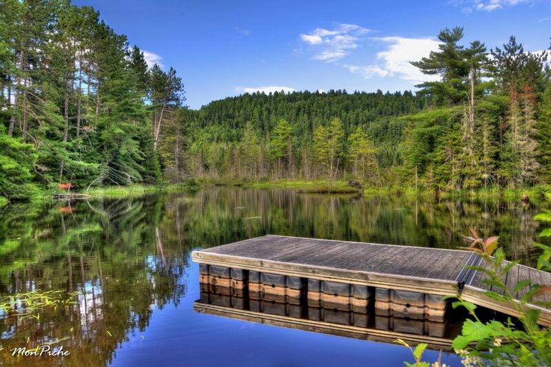 Wooden dock on a forest lake