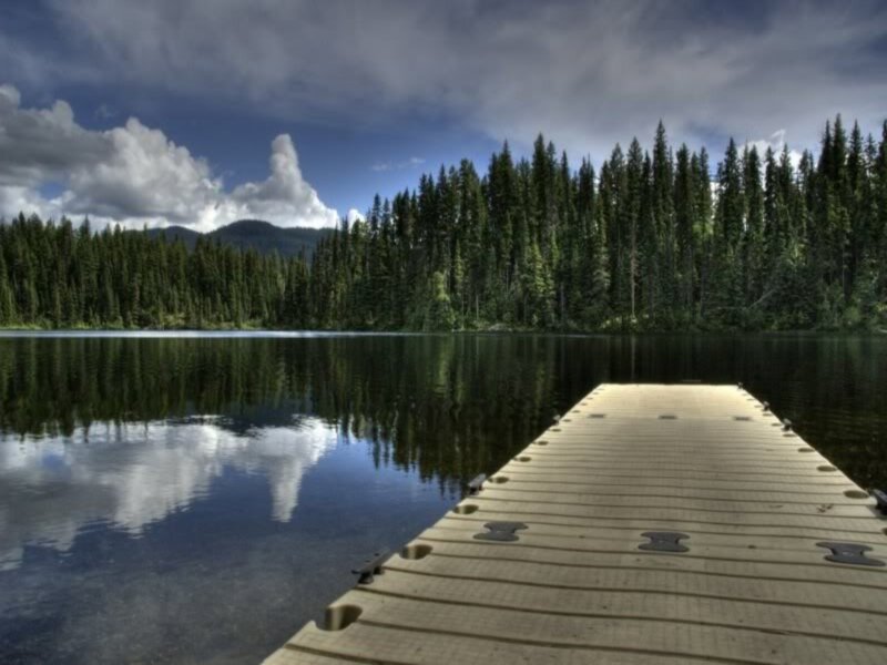 Wooden Dock on Lake — Blue, Serene, Afternoon, Photograph, Forest