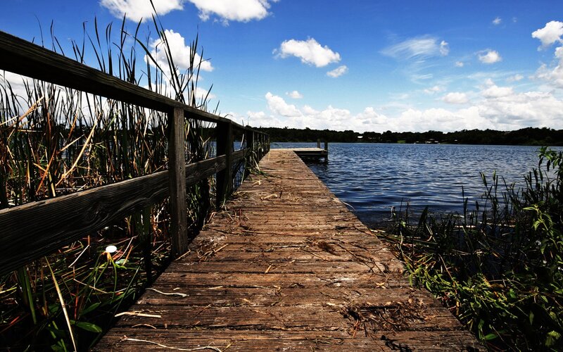 Wooden Dock on Lake — Blue, Serene, Afternoon, Photograph, Reeds