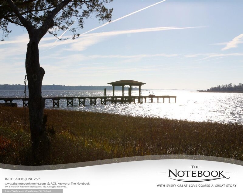 Wooden Dock on Lake — Blue, Serene, Afternoon, Photograph, Tree