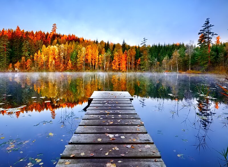 Wooden Dock on Lake — Blue, Serene, Autumn, Photograph, Forest