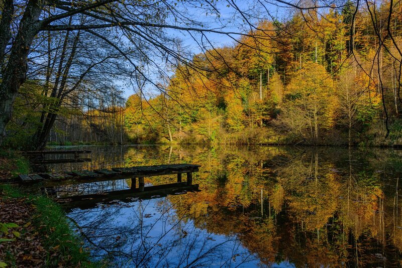 Wooden Dock on Lake — Blue, Serene, Autumn, Photograph, Trees, Forest