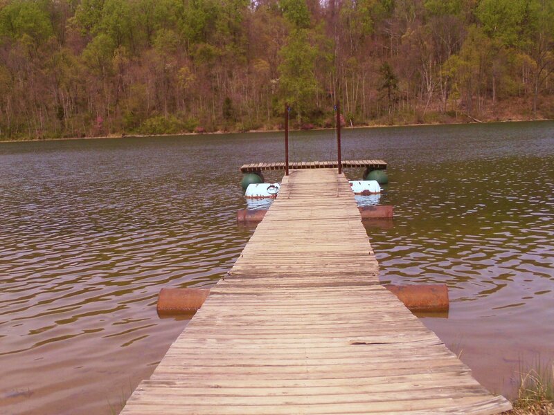 Wooden Dock on Lake — Brown, Serene, Spring