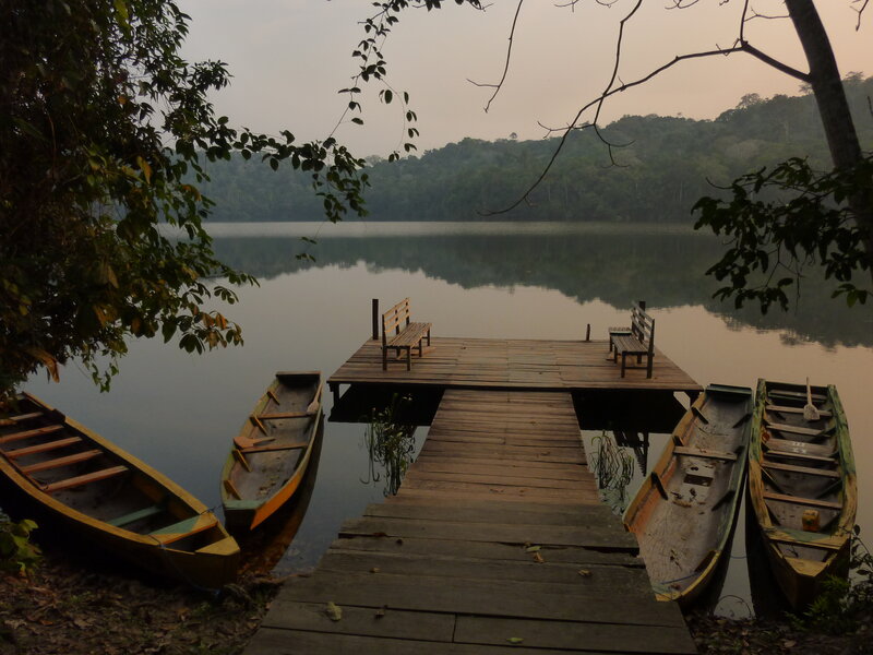Wooden Dock on Lake — Brown, Serene