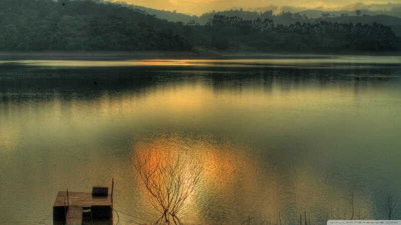 Wooden Dock on Lake — Gold, Serene