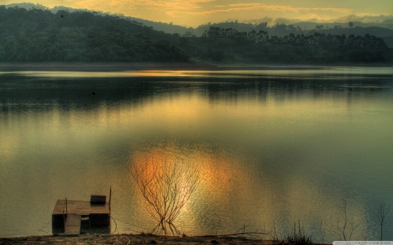 Wooden Dock on Lake — Gold