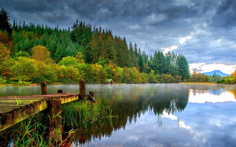 Wooden Dock on Lake — Green, Dramatic, Afternoon